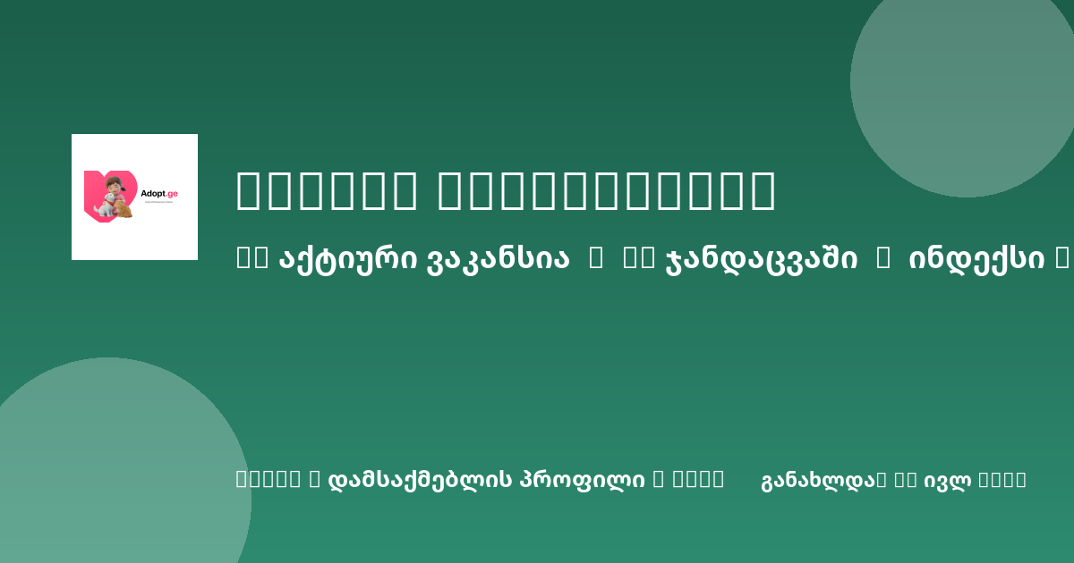 Green gradient banner with Adopt.ge logo on the left, two lines of Georgian text as headlines, and decorative circular shapes in corners.