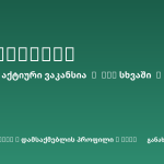 Sheni ვაკანსია