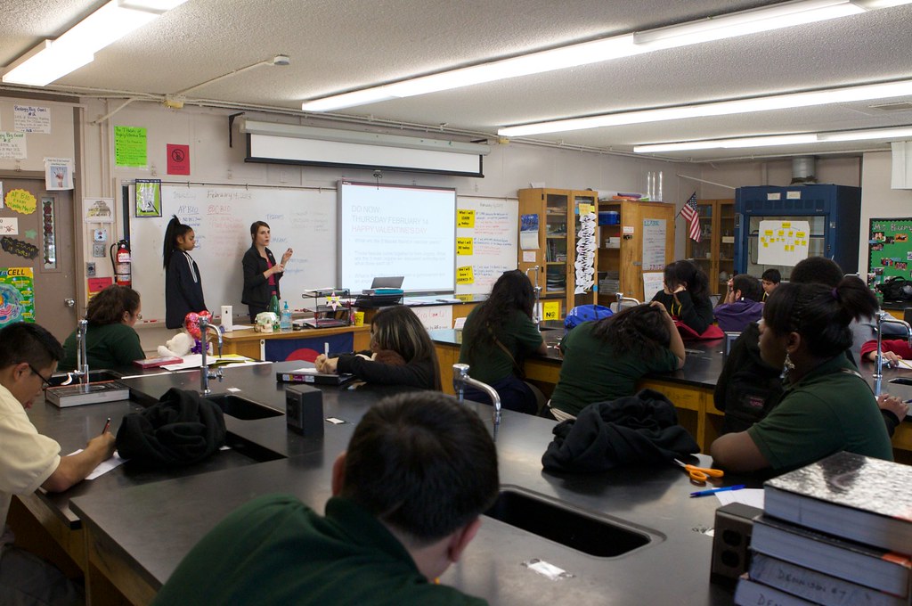 ქართული ენისა და დაწყებითი კლასების მასწავლებელი — საქართველო, განათლება / სწავლება