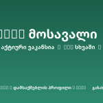 Sheni ვაკანსია