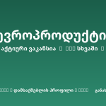 Sheni ვაკანსია