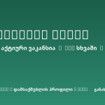 Sheni ვაკანსია