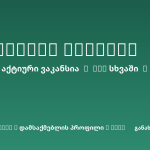 Sheni ვაკანსია