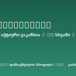 Sheni ვაკანსია