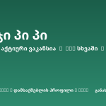 Sheni ვაკანსია