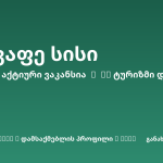 Sheni ვაკანსია