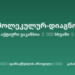 Sheni ვაკანსია