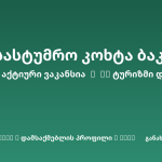 Sheni ვაკანსია