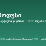 Sheni ვაკანსია