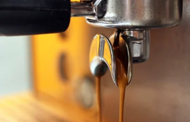 Barista  Mimtani — საქართველო, ტურიზმი / სასტუმრო / კვება