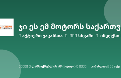 Sheni ვაკანსია