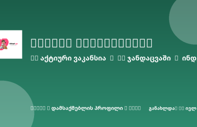 Green gradient banner with Adopt.ge logo on the left, two lines of Georgian text as headlines, and decorative circular shapes in corners.
