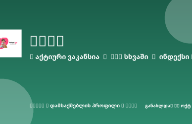 Sheni ვაკანსია