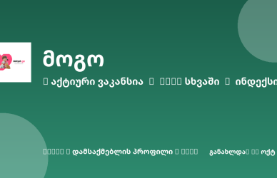 Sheni ვაკანსია