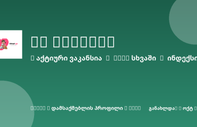 Sheni ვაკანსია