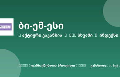 Sheni ვაკანსია