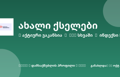 Sheni ვაკანსია