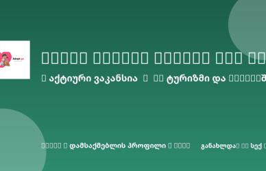 Sheni ვაკანსია