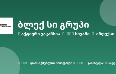 Sheni ვაკანსია
