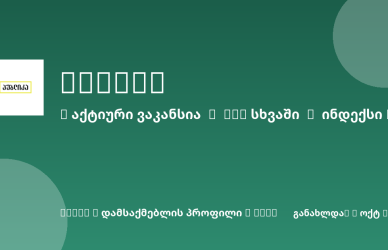 Sheni ვაკანსია