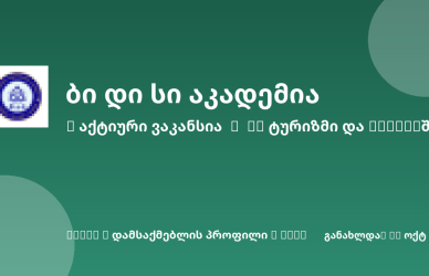Sheni ვაკანსია