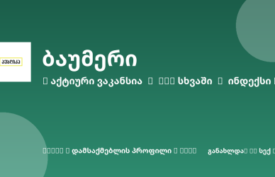 Sheni ვაკანსია