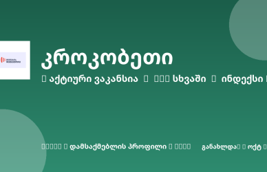 Sheni ვაკანსია