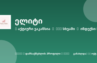 Sheni ვაკანსია