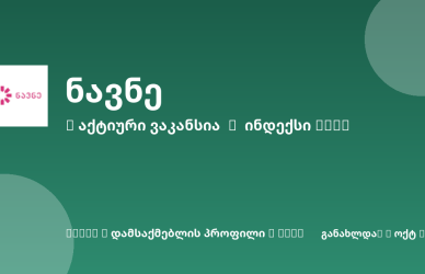 Sheni ვაკანსია
