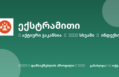 Sheni ვაკანსია