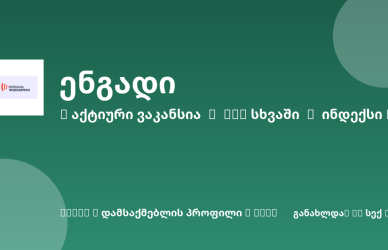 Sheni ვაკანსია