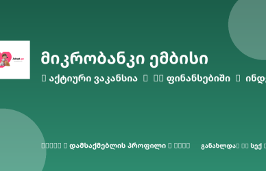 Sheni ვაკანსია