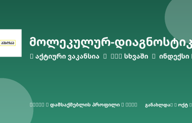 Sheni ვაკანსია