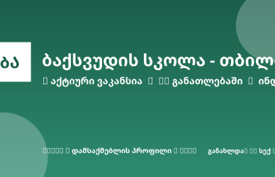 Sheni ვაკანსია