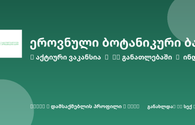 Sheni ვაკანსია