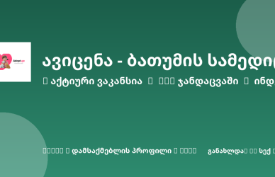 Sheni ვაკანსია