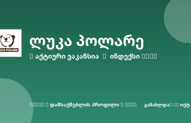 Sheni ვაკანსია