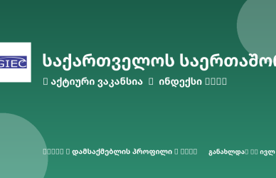 Green banner featuring a white GIEC logo on the left, with large white Georgian text across the center and smaller Georgian text underneath; decorative circular shapes in the corners.