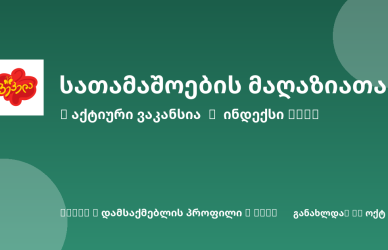 Sheni ვაკანსია