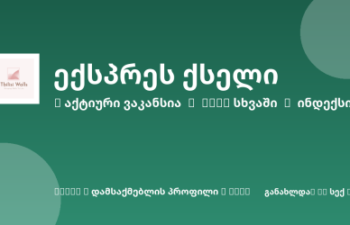 Sheni ვაკანსია