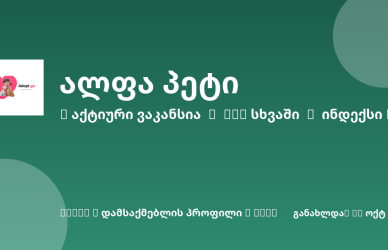 Sheni ვაკანსია