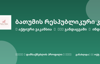 Sheni ვაკანსია